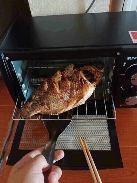 Lò nướng điện Sunhouse 10 lít SHD4206