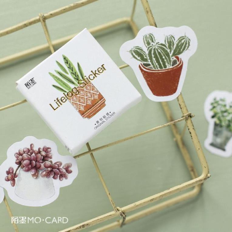 Bộ 45 miếng dán hình chậu hoa dễ thương E88