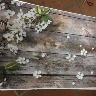 PHÔNG CHỤP ẢNH NỀN 3D