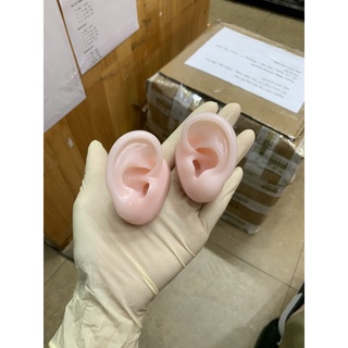 MÔ HÌNH TAI GIẢ SILICON / GIÁ 1 BÊN