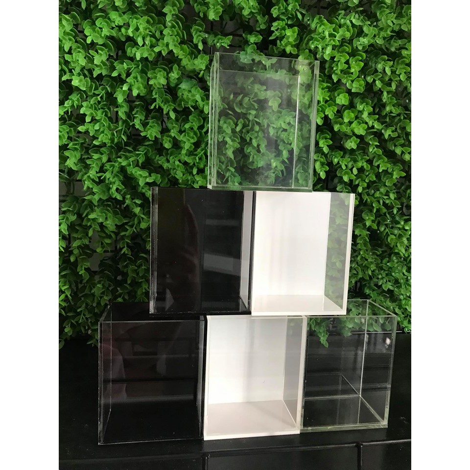 Hồ show cá 15x12x17 acrylic cao cấp , bể show betta, keo show guppy