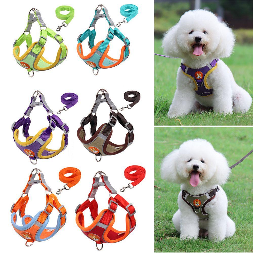 Dây Đeo / DẫN Thú Cưng Đi DạO