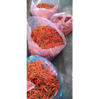 Ớt Đà Lạt tươi, xanh, sạch