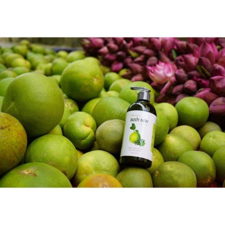 Dầu Gội Bưởi Non Handmade giúp Giảm Gàu, Nấm, Ngứa, Rụng Tóc 500ml - 100% Thiên Nhiên - Tiemxabong201 | BigBuy360 - bigbuy360.vn