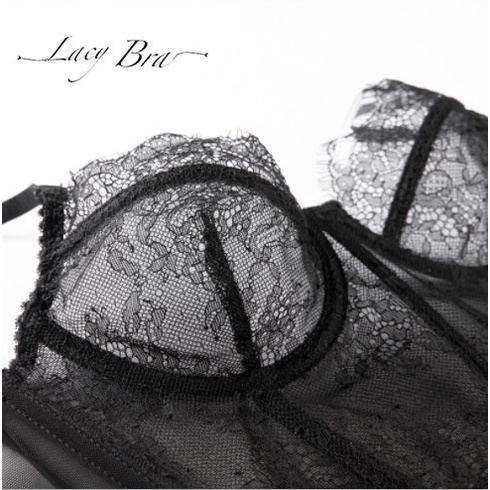 [Tặng Quà Dây Buộc Tóc] Bralette Ren Mỏng Phong Cách Cổ Điển Không Đệm Có Gọng Nâng Ngực Gợi Cảm Lacy Bra - AL32 | BigBuy360 - bigbuy360.vn