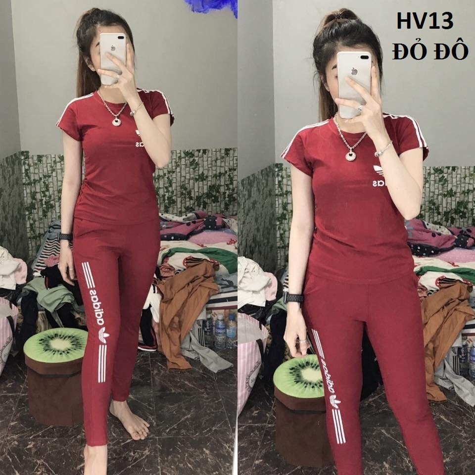 [KHUYẾN MÃI] Đồ bộ nữ mặc nhà thun cotton co giãn 4 chiều | BigBuy360 - bigbuy360.vn