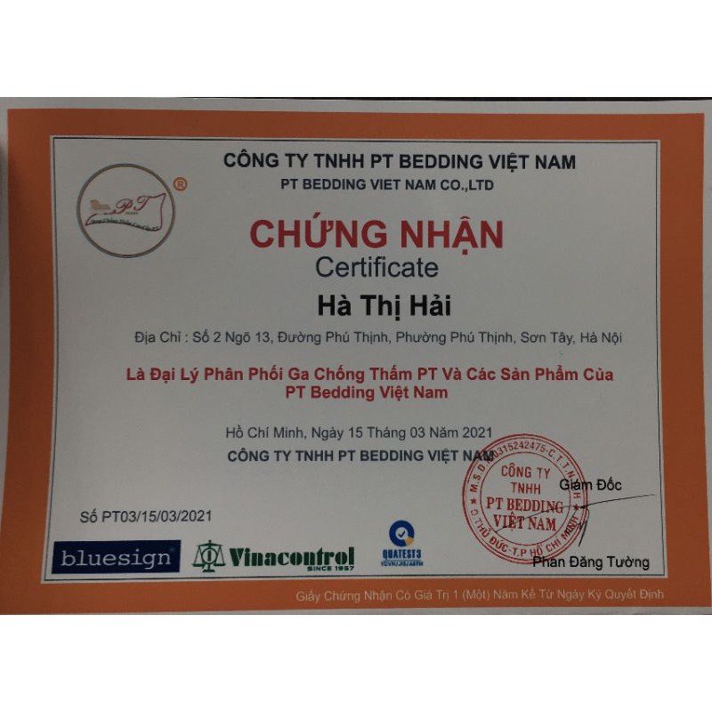 Ga cotton thun phủ nano chống thấm khủng long | BigBuy360 - bigbuy360.vn