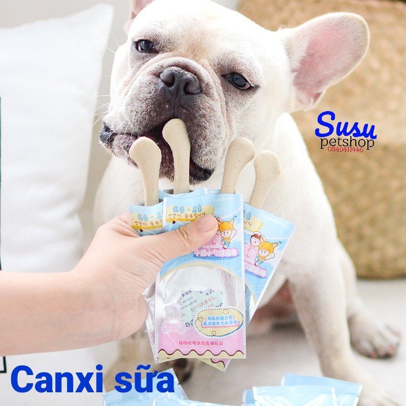 Canxi sữa sạch răng cho Chó