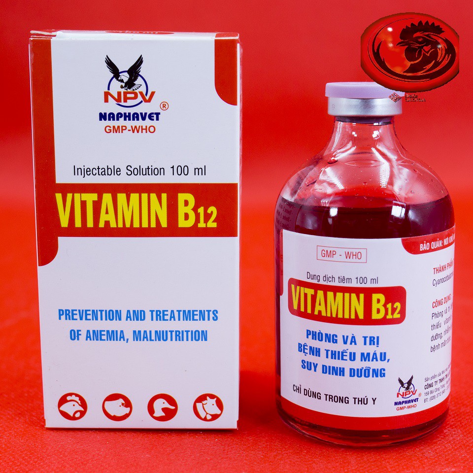VITAMIN B12 dinh dưỡng cho gà đá 100ml