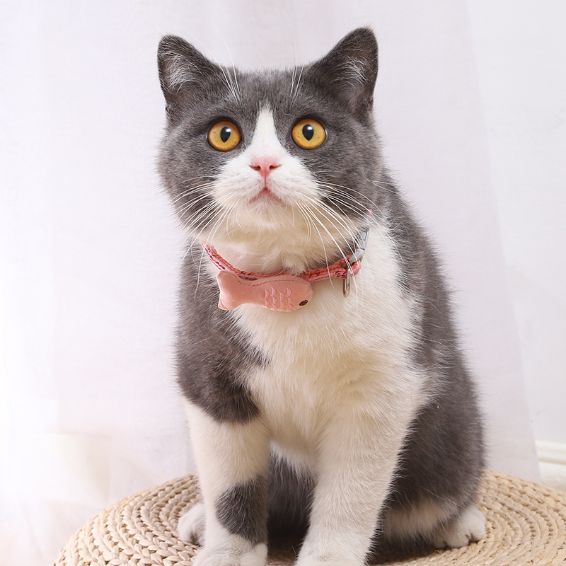 Vòng Cổ Thêu Hình Cá Nhỏ Đáng Yêu Cho Thú Cưng