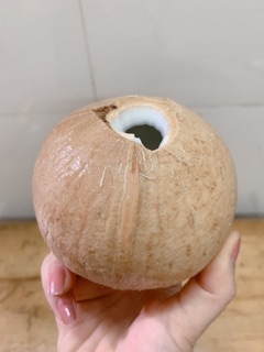 Dừa Xiêm Trọc Bến Tre
