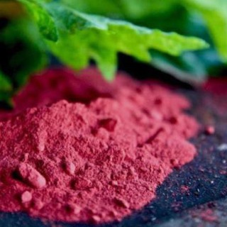 [DN123] Bột củ dền đỏ