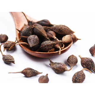 Quả Liên Kiều giúp thanh nhiệt,giải độc,kháng khuẩn tiêu viêm 100g