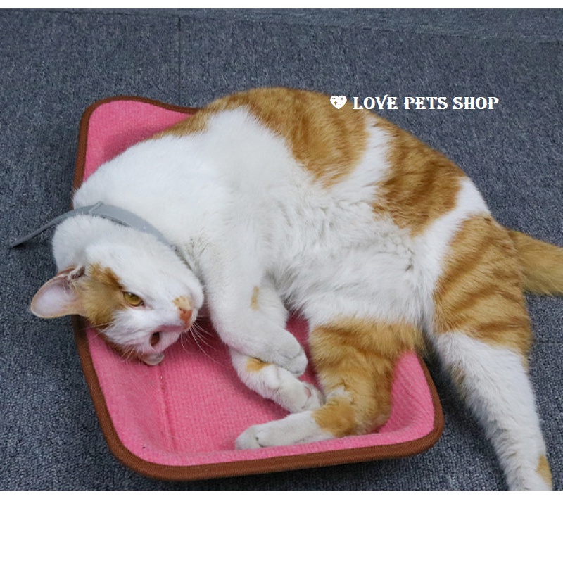VÒNG CỔ CHỐNG VE RẬN, CÔN TRÙNG CHO CHÓ MÈO- LOVE PETS SHOP