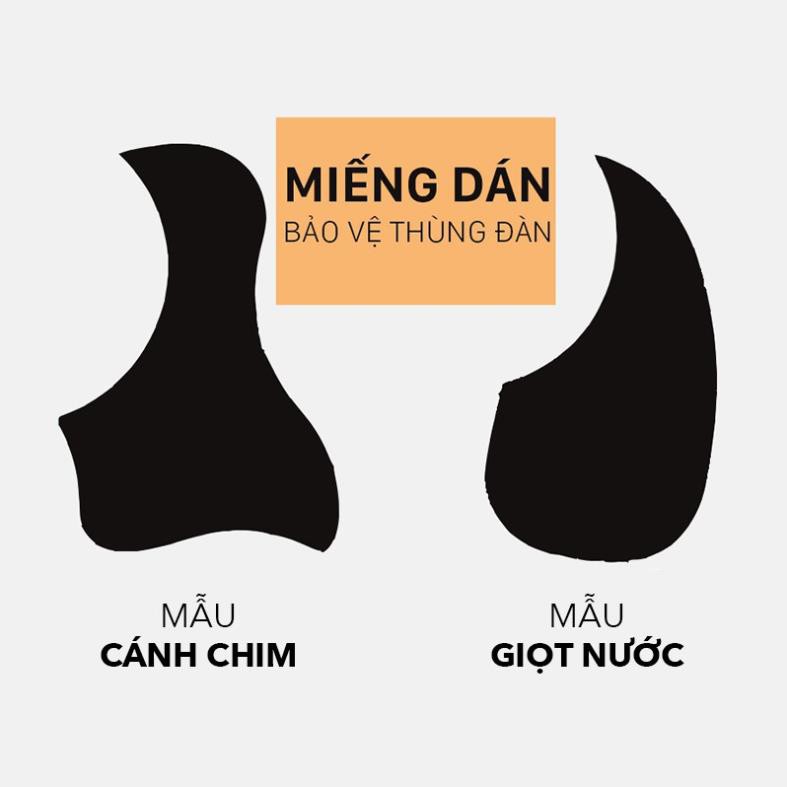 Miếng Dán Thùng Đàn Guitar | Miếng Dán Chống Trầy Đàn Guitar