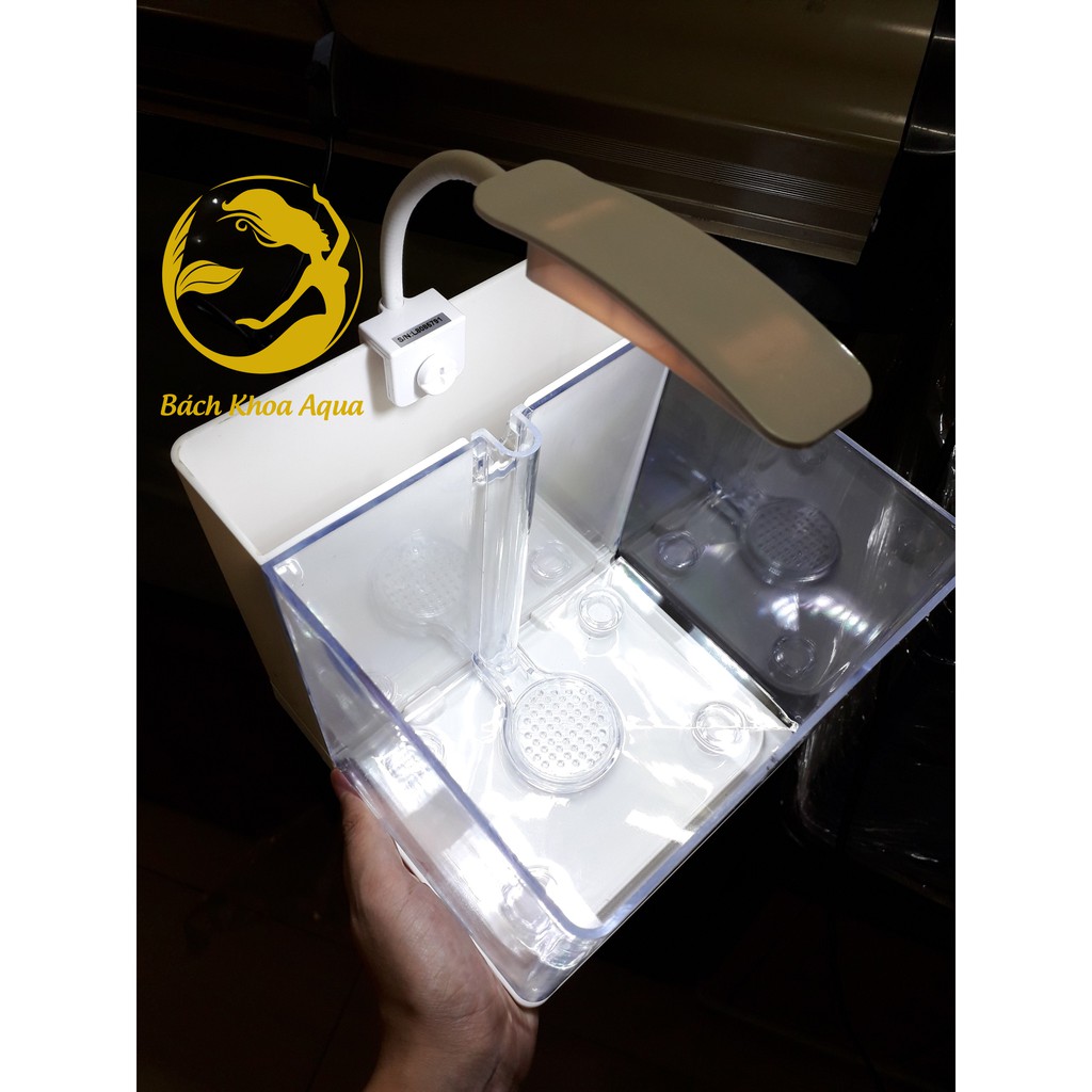Bể mini Nano tank