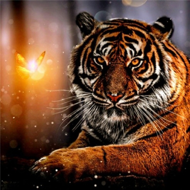 DIY 5D 5D hạt tròn đầy đủ Animal World Tiger tranh kim cương, tranh hạt