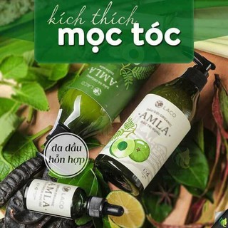 Bộ dầu gội mọc tóc, ngăn ngừa rụng tóc Amla