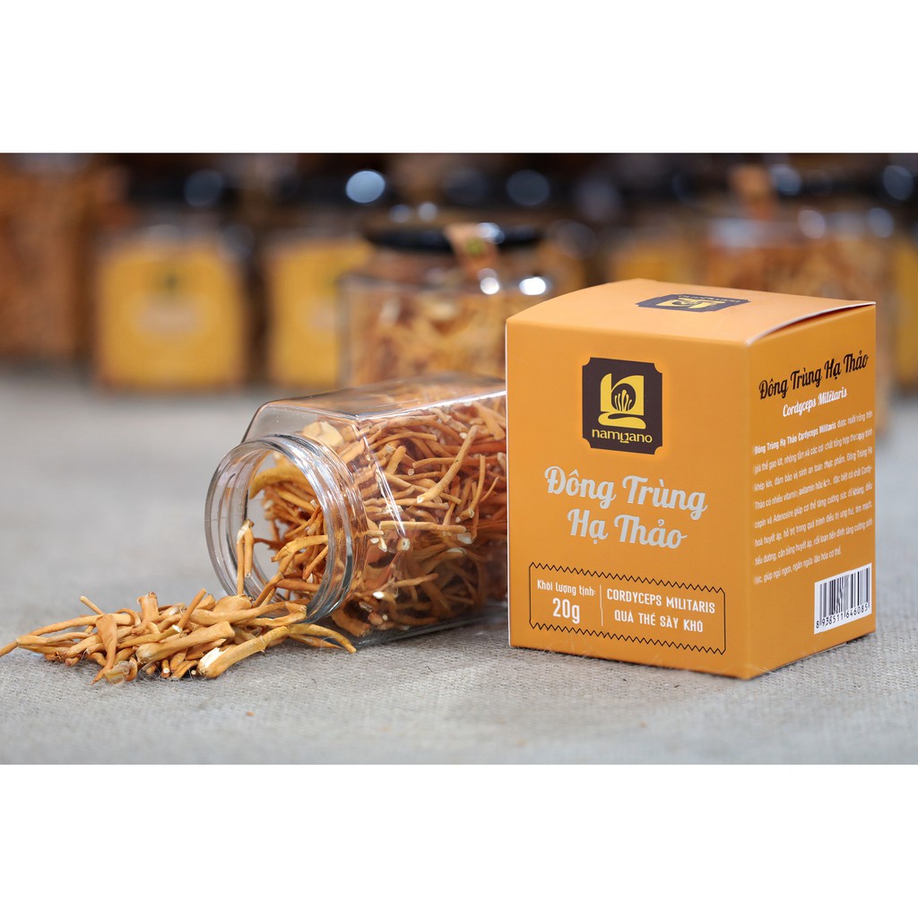 10-20 gr Đông trùng hạ thảo sấy thăng hoa Namgano (Cordyceps cao)