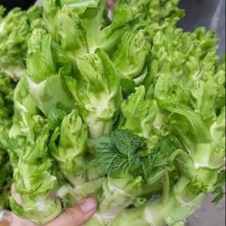 Hạt giống cải mầm đá