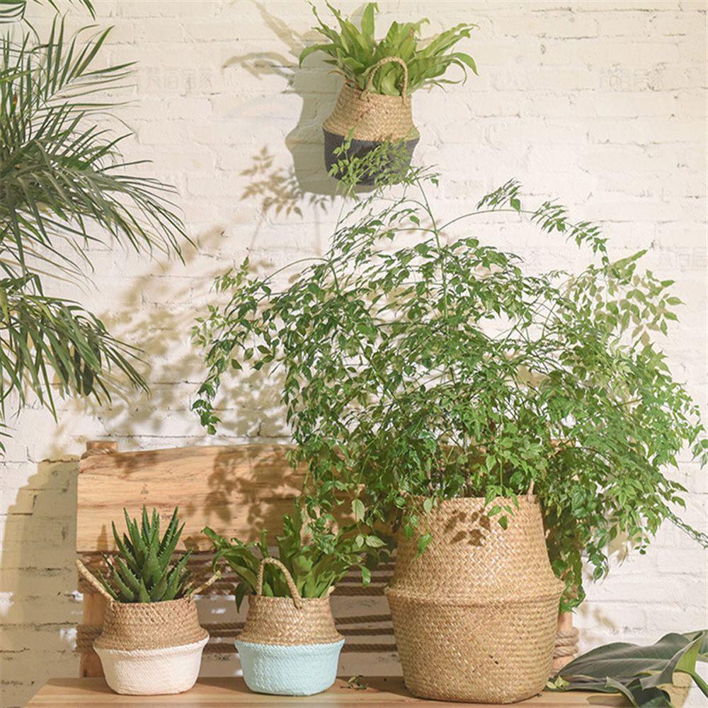 1 Giỏ Trồng Cây Gấp Gọn DIY Tiện Dụng