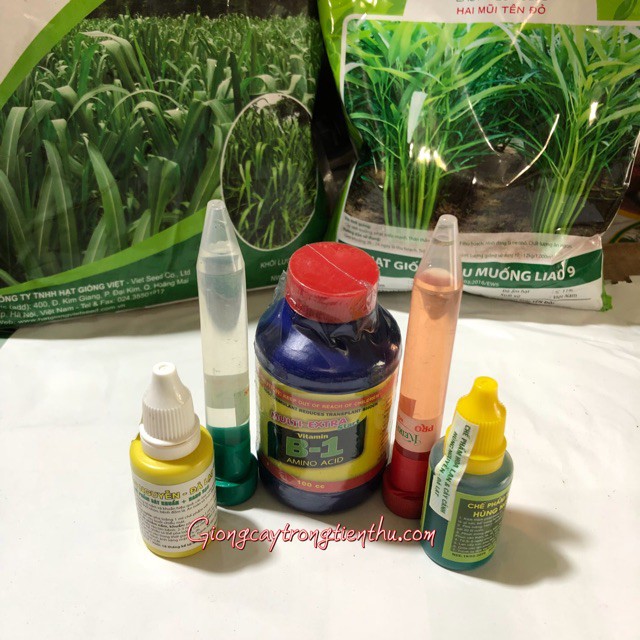 Combo 5 loại B1 Thái, Keiki Duy, chế phẩm Hùng Nguyễn kích kei, kích rễ, phòng trừ nấm bệnh cho hoa lan