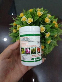 Vitamin B1 loại đặc biệt ( combo 10 chai )