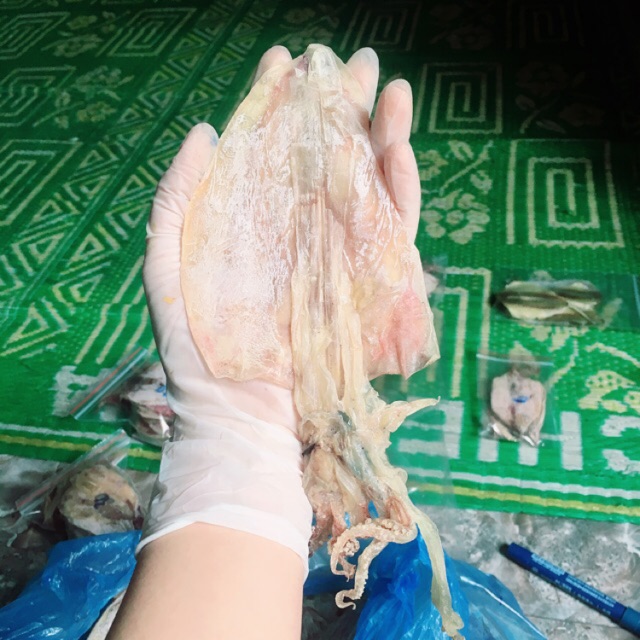 [Mã GROSALE2703 giảm 8% đơn 250K] Mực khô câu Vân Đồn - Quảng Ninh, loại 45 con