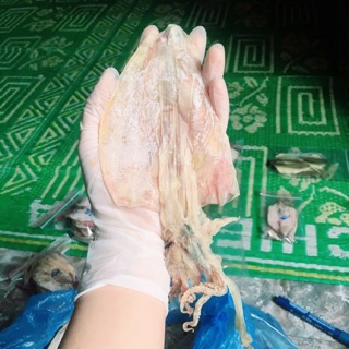 Mực khô câu vân đồn - quảng ninh, loại 45 con