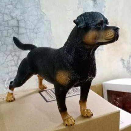 Áo Thun Họa Tiết Chú Chó Rottweiler 00703 Dễ Thương