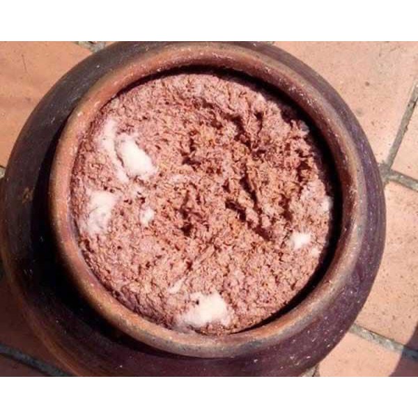 Đặc sản mắm tép chưng thịt hộp 500gr Bếp Mẹ Chíp | BigBuy360 - bigbuy360.vn