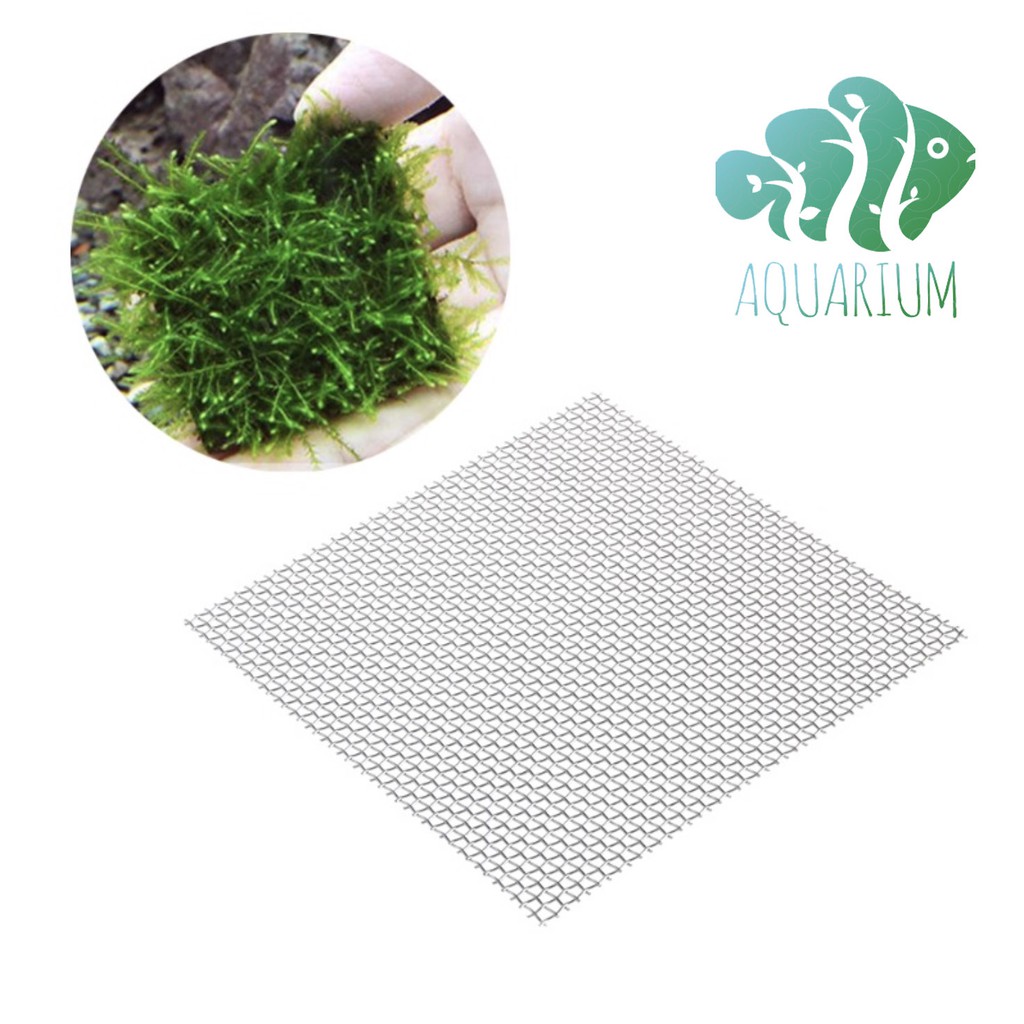 [Mã 253FMCGSALE giảm 8% tối đa 100K đơn 500K] Vỉ inox buộc rêu 8*8cm