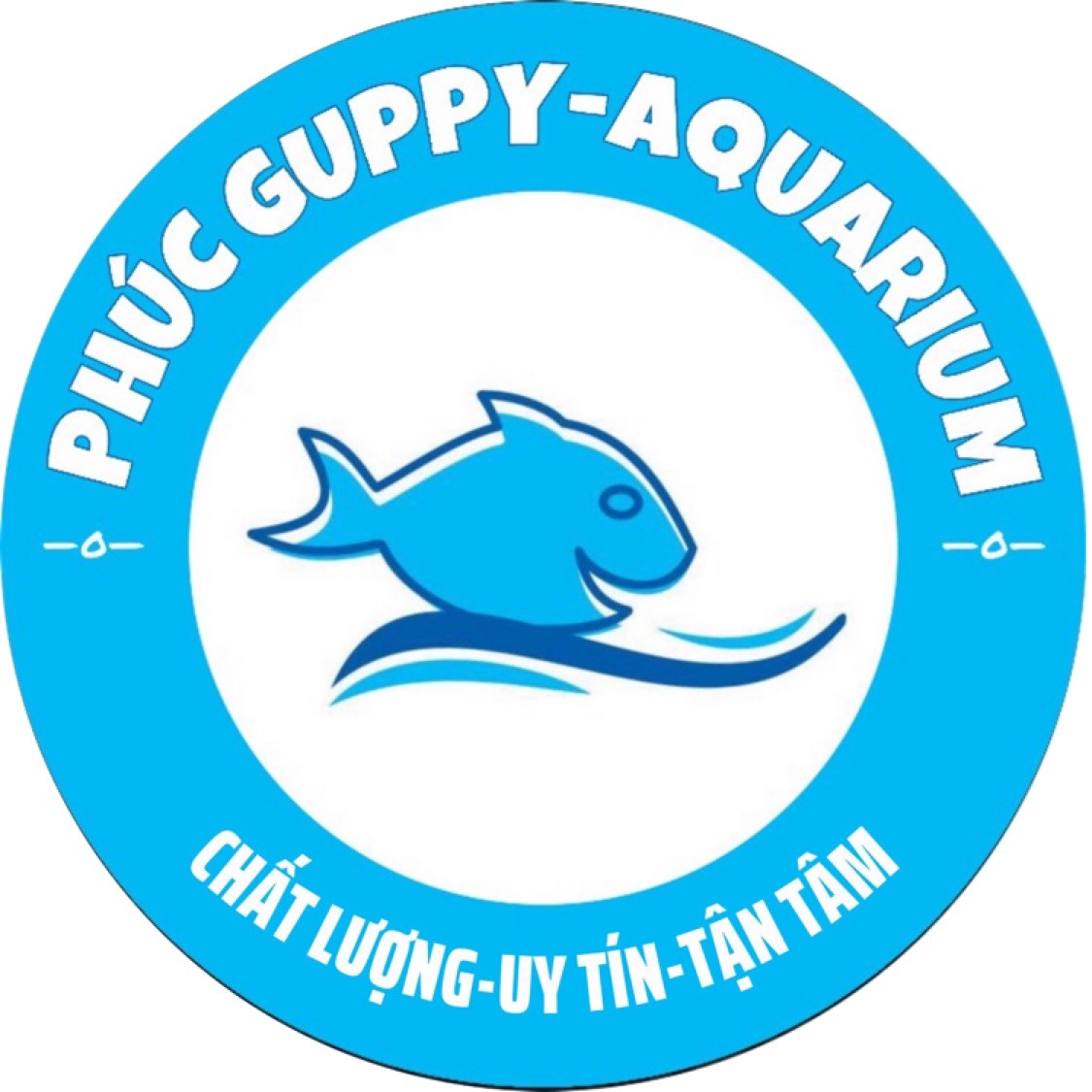 Phúc Guppy-Aquarium