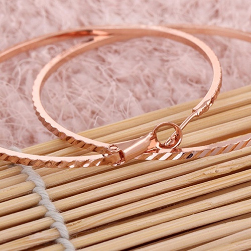 Khuyên tai hợp kim hình tròn cỡ lớn thời trang cho nữ