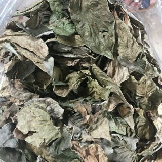 100g bột lá trầu không