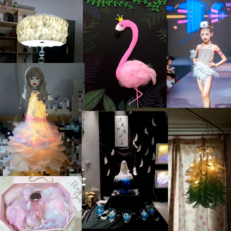 Bộ 100 Lông Vũ Tự Nhiên 20g 10-15cm Trang Trí Bong Bóng