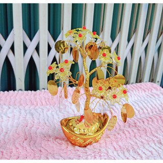 Cây Kim tiền tài lộc vàng 22cm