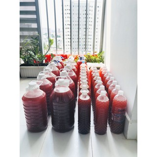 Vi sinh quang hợp PSB (2 lít)