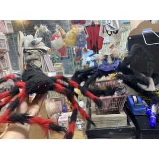 nhện trang trí Halloween, nhện giả trang trí