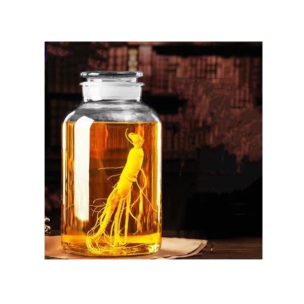Bình thủy tinh 10 Lít-20 Lít ngâm rượu sâm rượu thuốc trái cây rượu thuốc nhân sâm rượu thuốc ngâm rắn