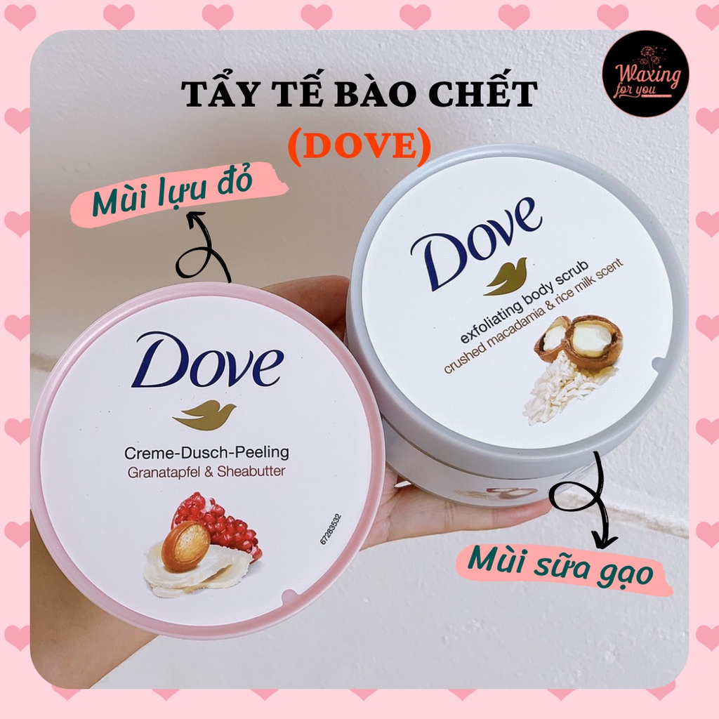 [HÀNG CHÍNH HÃNG] DOVE KEM TẨY TẾ BÀO CHẾT CHO BODY FULL SIZE MÙI LỰA/SỮA GẠO HẠT MACCA (WAXINGFORU)