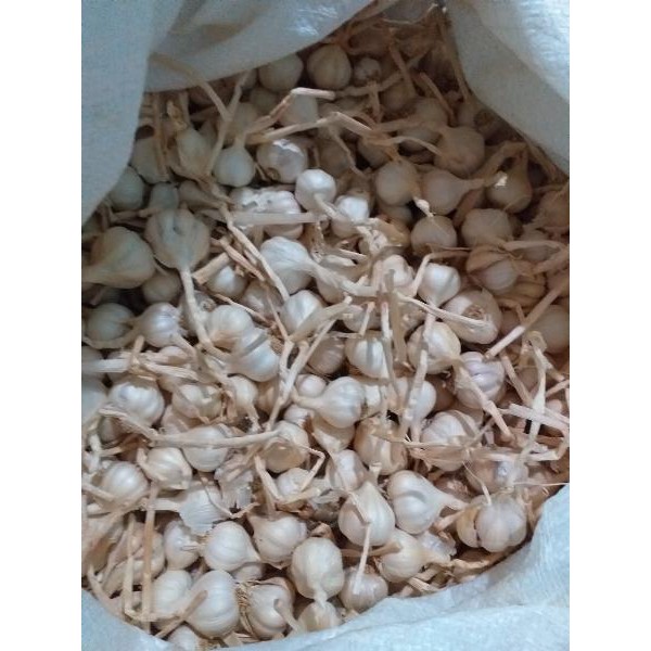 Tỏi ta còn cuống (ảnh thật) 500Gr