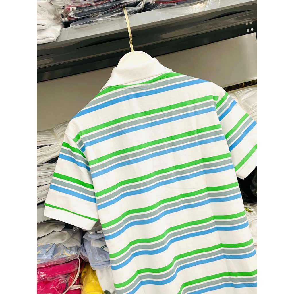 [HÌNH THẬT] ÁO THUN CỔ TRỤ LACOSTE SỌC XANH TRẮNG VNXK   - COTTON CÁ SẤU 100%