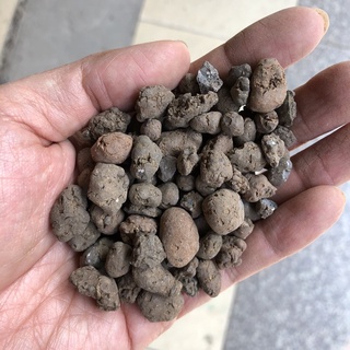 Viên đất nung sfarm chỉ 22k/1kg