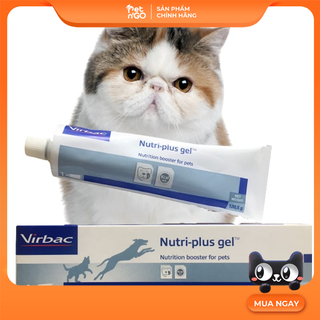 Nutri Plus Gel dinh dưỡng tổng hợp cho chó mèo