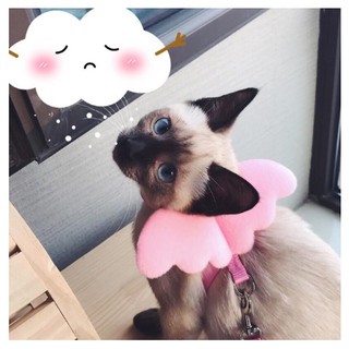 Dây Dắt Cánh Thiên Thần Dành Cho Thú Cưng🐶😻🦋