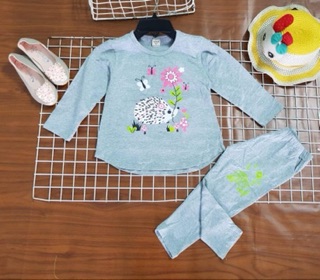 Bộ carter dài bé gái set 5