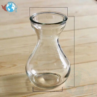 Bình thuỷ tinh trồng cây thuỷ canh