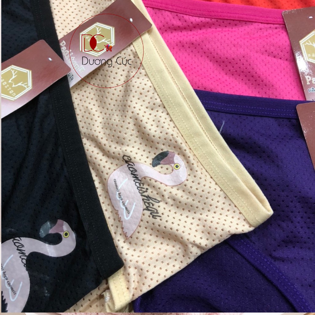 Quần Lót Nữ Thông Hơi Kháng Khuẩn Thái Lan | BigBuy360 - bigbuy360.vn