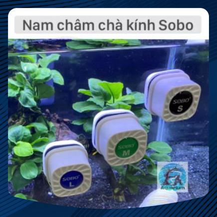 Nam châm mini chà hồ, lau kính bể cá nhỏ Sobo LONG THÀNH CÁ CẢNH